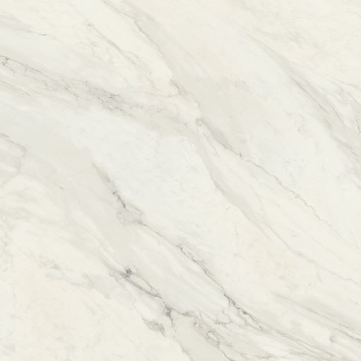 Podna plocica CALACATTA - BIANCO 80x80 [sjaj,rec]