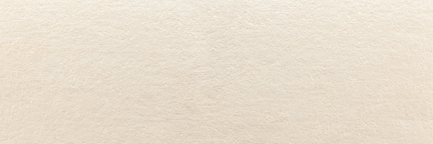 Zidna plocica REINE - ALMOND 30x90 [mat,rec]