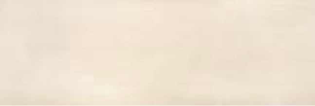 Zidna plocica BIRD - ARENA 30x90 [sjaj]