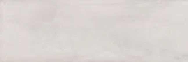 Zidna plocica BIRD - GRIS 30x90 [sjaj]